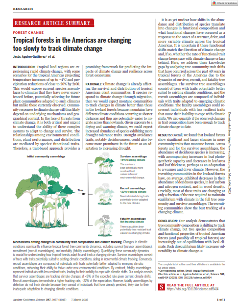 Tropical forests in the Americas are changing too slowly to track climate change