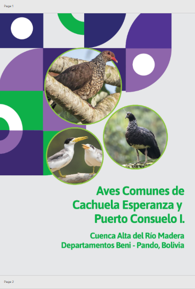 Aves Comunes de Cachuela Esperanza y Puerto Consuelo I