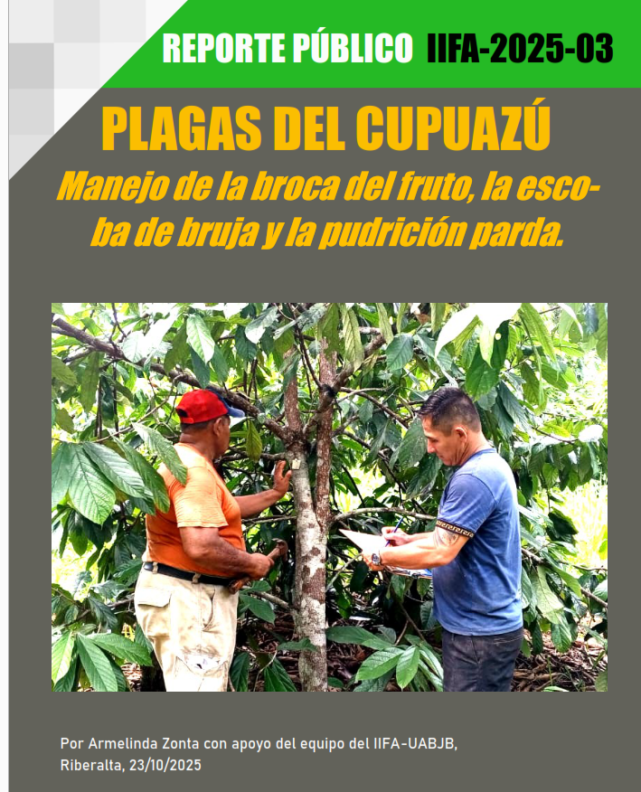 Plagas del Cupuazú, Manejo de la broca del fruto, la escoba de bruja y la pudrición parda