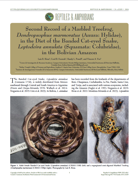 Second record of a Marbled Treefrog, in the diet of the Banded Cat-eyed Snake