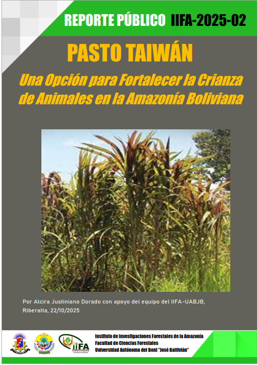 Pasto Taiwán: Una opción para fortalecer la crianza de animales en la Amazonía boliviana