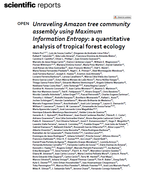 Unraveling Amazon tree community assembly using Maximum Information Entropy