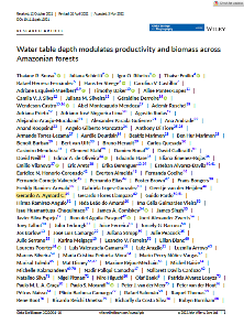 Water table depth modulates productivity and biomass across Amazonian forests
