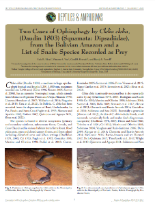 Two cases of ophiophagia by Clelia clelia