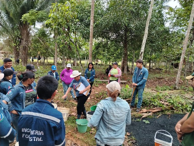 Instituciones unen capacidades para investigar alternativas que mejoren la fertilidad de los suelos amazónicos