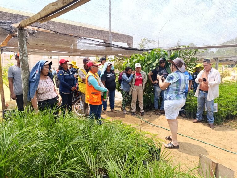 UABJB y GAM Riberalta inician formación práctica para fortalecer el manejo del ornato público