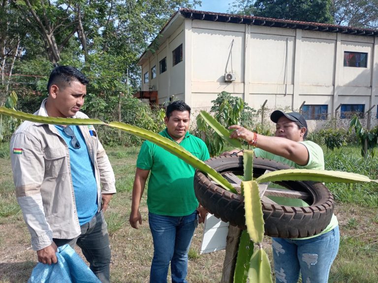 El IIFA-UABJB y la SDDA impulsan un vivero de pitahaya para fortalecer el área experimental El Maral