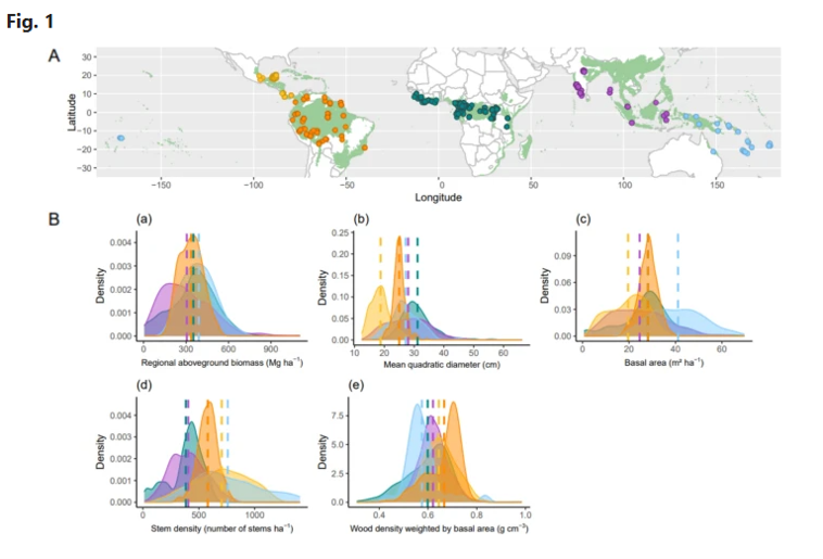 Datos de bosques bolivianos contribuyen a estudio mundial sobre clima y carbono en bosques tropicales