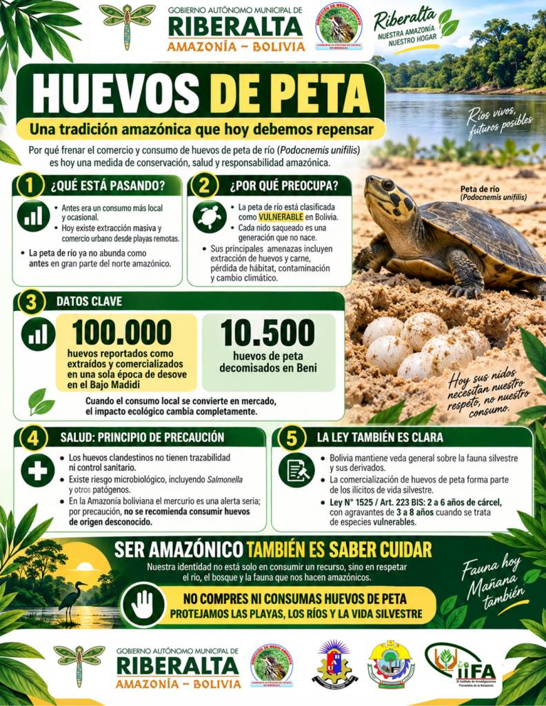 Huevos de peta: una tradición amazónica que hoy debemos repensar
